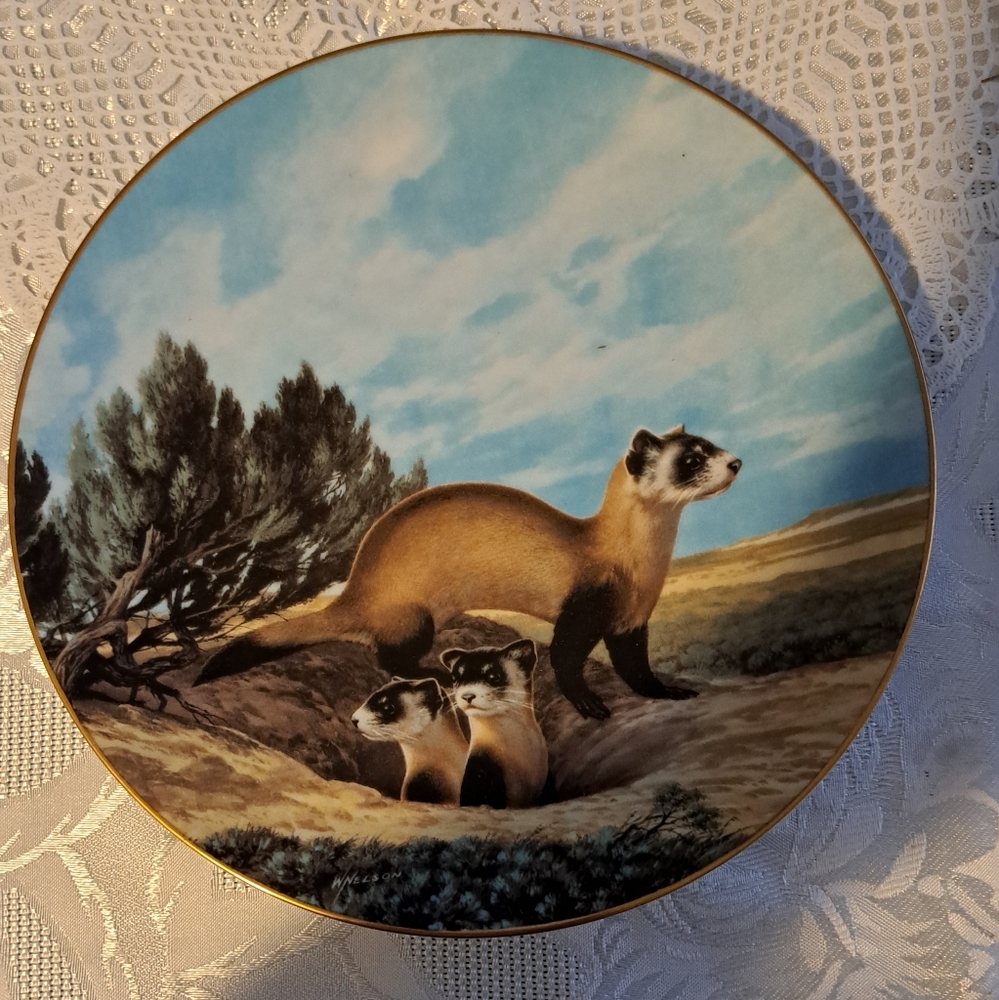 Decorator Plate
